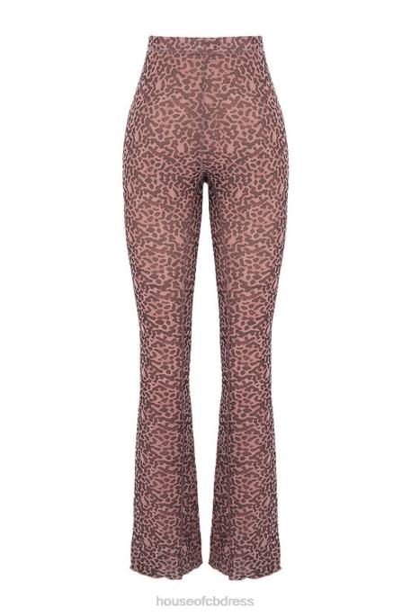 House of CB Maite Animal Print Mesh Flared Trousers Clothing 4H6N973