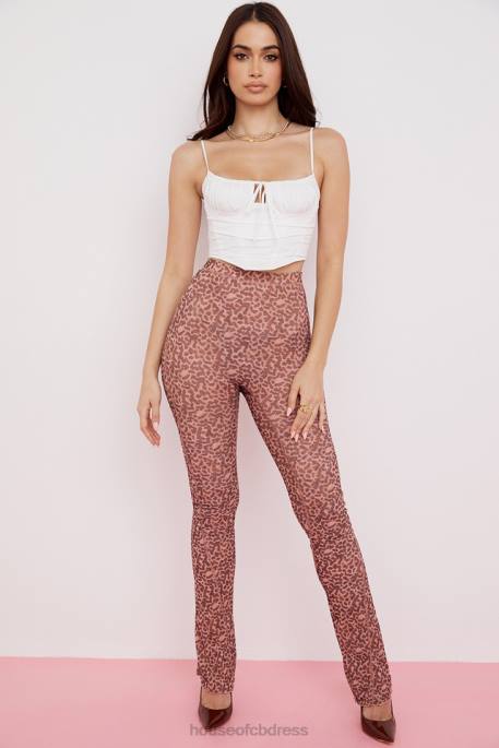 House of CB Maite Animal Print Mesh Flared Trousers Clothing 4H6N973