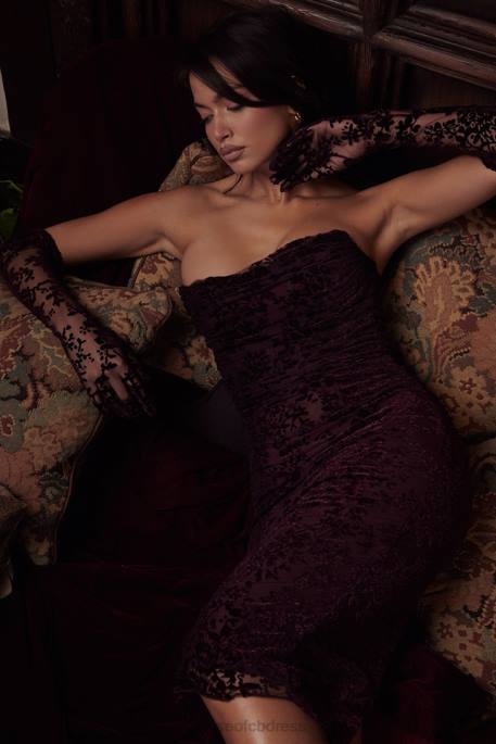 House of CB Isadora Black Cherry Devore Corset Dress Clothing 4H6N351